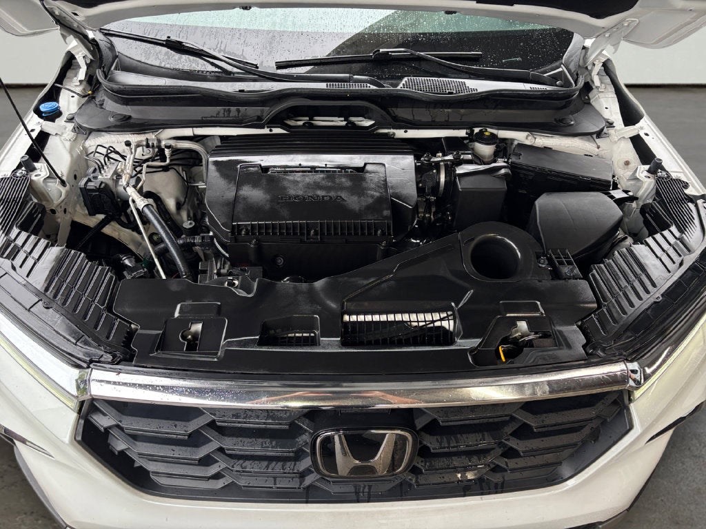 2025 Honda Pilot EX-L+
